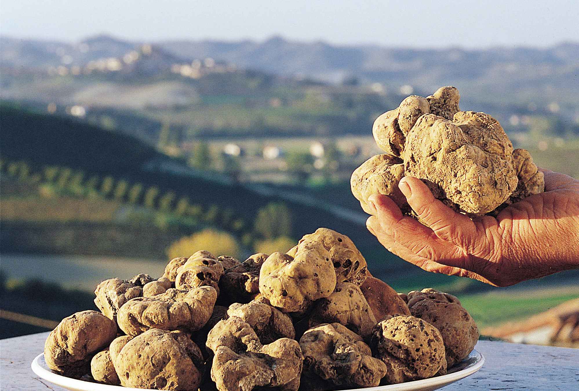 Fiera Internazionale del Tartufo Bianco D’Alba 
