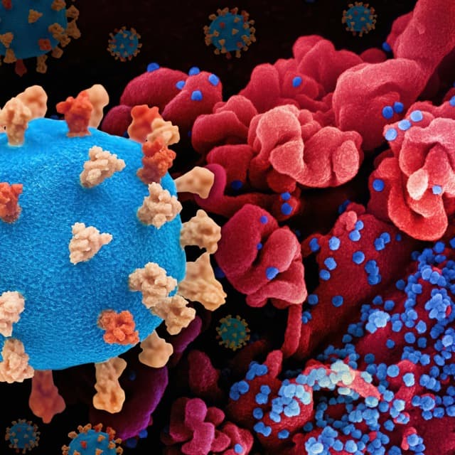 National pavilion at BIO EUROPE 2025