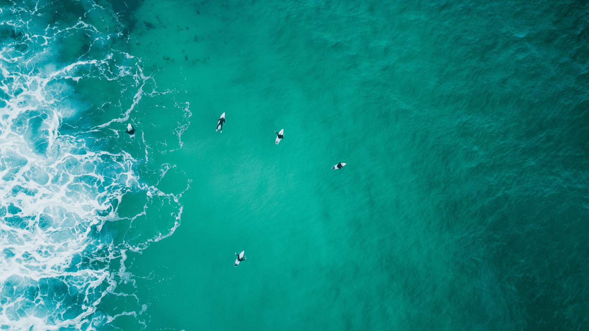 ocean plastic pollution cleanup technology