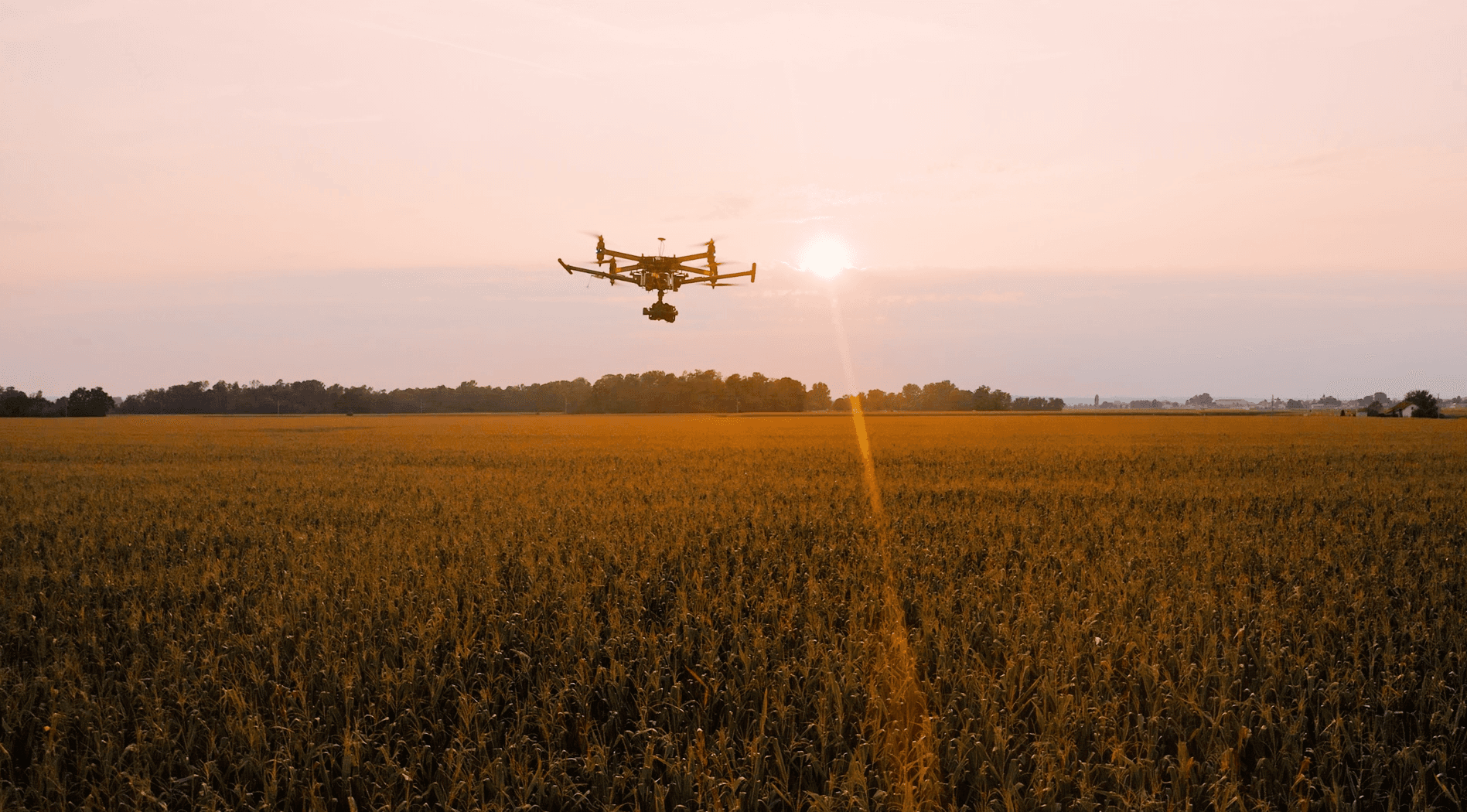 Immagine interna per articolo "Agricoltura di precisione in Italia: innovazione, casi d’uso e sfide per il futuro"