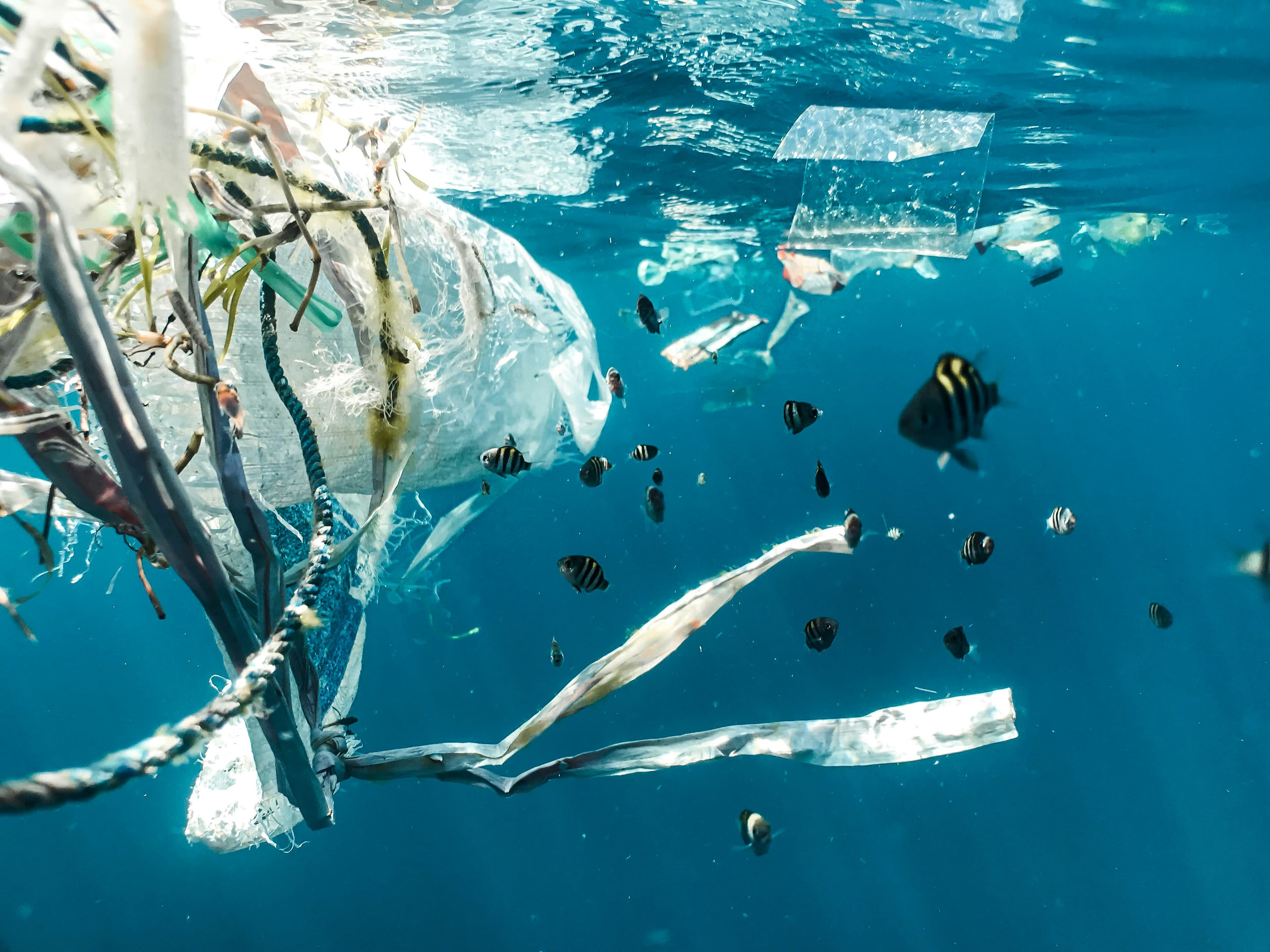 river cleanup AI automated system
