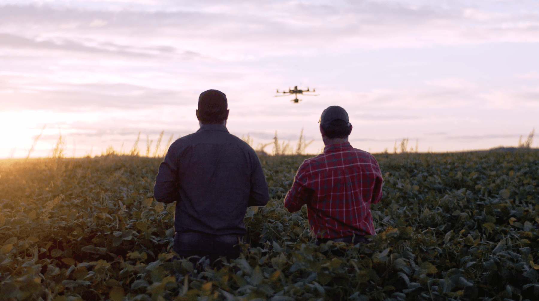 Cover per l'articolo "Agricoltura di precisione in Italia: innovazione, casi d’uso e sfide per il futuro "
