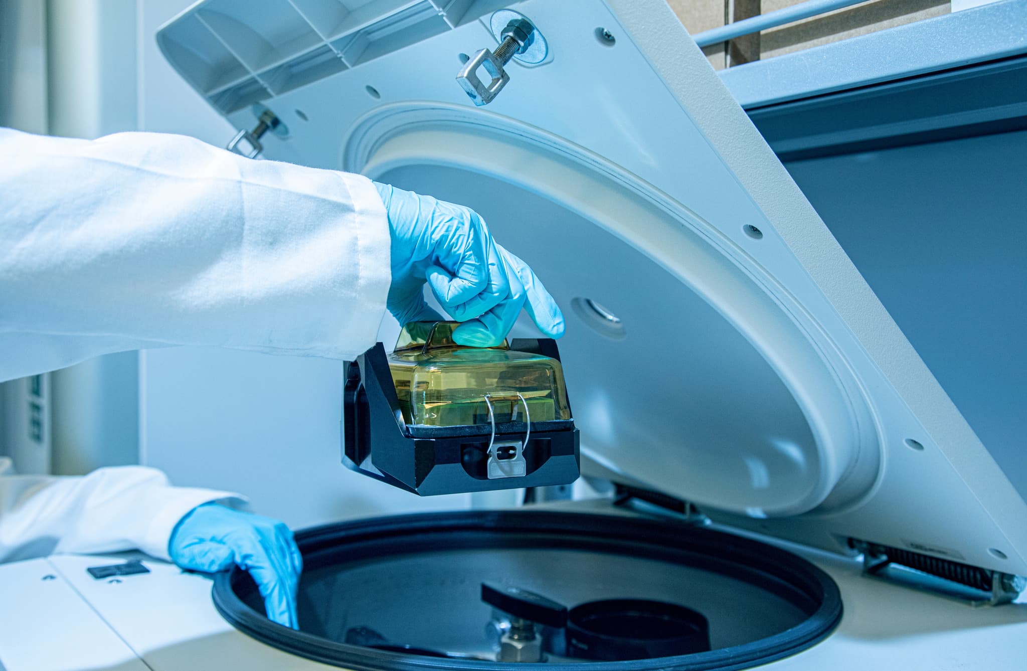 Healthcare & Wellness